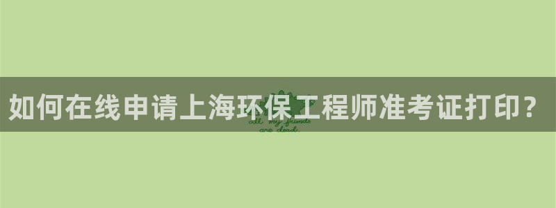 最新彩名堂计划：如何在线申请上海环保
