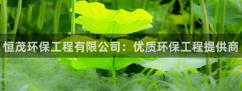 彩名堂移动客户端官网：恒茂环保工程有