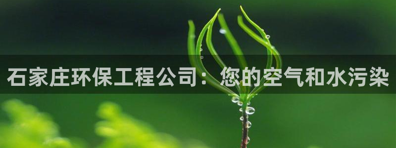 彩名堂一直不出结果怎么回事儿：石家庄