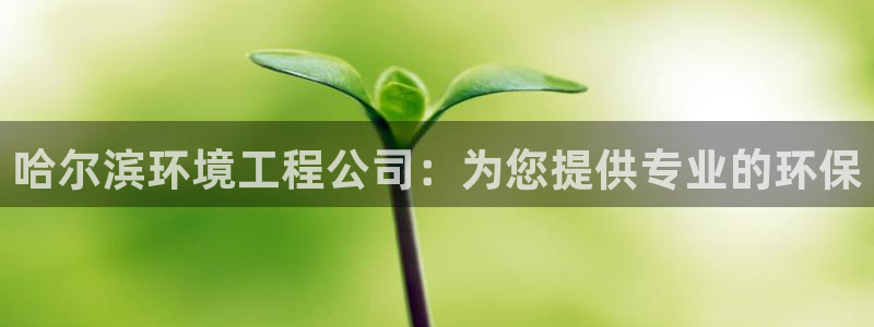 彩名堂上推荐的几个平台怎样
