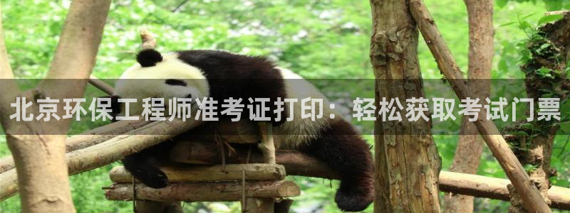 彩名堂官网计划：北京环保工程师准考证