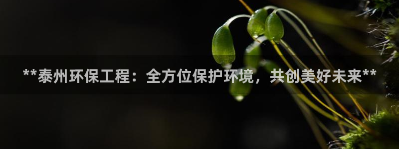 彩名堂安卓客户端官网下载安装：**泰