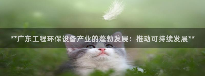 彩名堂计划怎么看：**广东工程环保设
