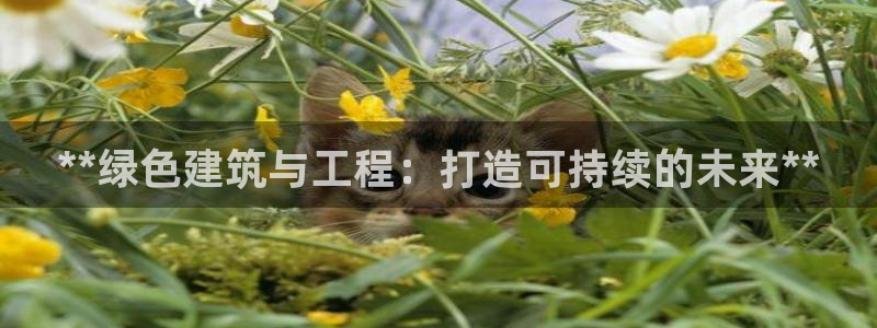 彩名堂怎么打不开了：**绿色建筑与工