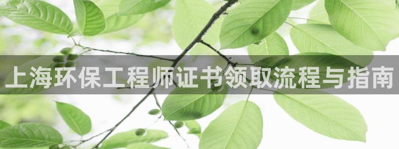 彩名堂975新版本：上海环保工程师证