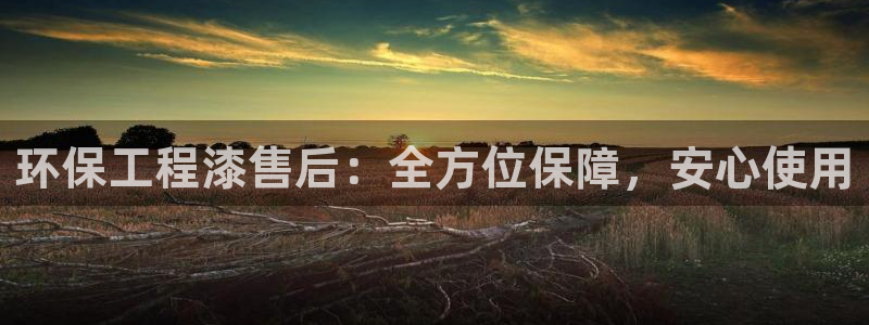 彩名堂怎么不能用了：环保工程漆售后：全方位保障，安心使用