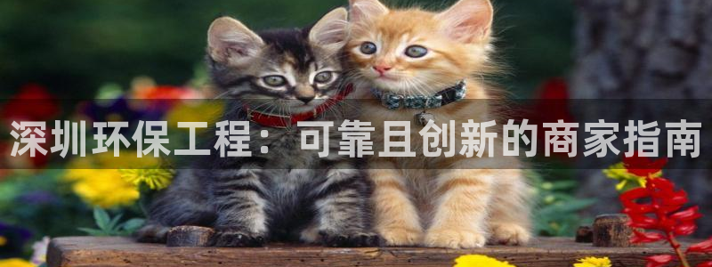 彩名堂免费计划官网怎么进不去了：深圳