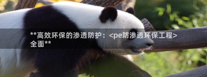 彩名堂官方平台：**高效环保的渗透防