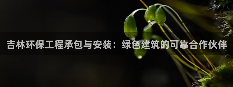彩名堂计划最新版手机版：吉林环保工程