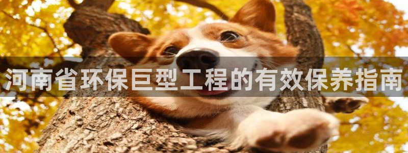 下载彩名堂预测计划软件：河南省环保巨型工程的有效保养指南
