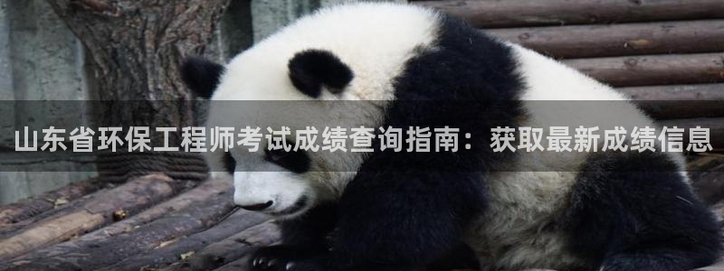 为什么彩名堂今天不能用：山东省环保工程师考试成绩查询指南：获