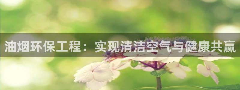 彩名堂v1.0.6：油烟环保工程：实现清洁空气与健康共赢